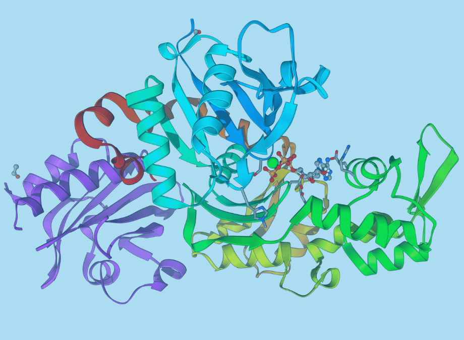 Cytoskeletal Diversity Insights