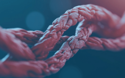 Researchers Identify BeeR, a Novel Protein That May Enhance Drug Delivery in Cancer Care