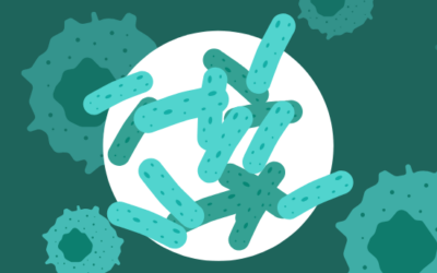 BioTechniques: Could BeeR help design targeted cancer therapeutics?