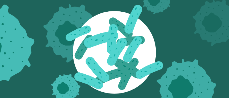 BioTechniques: Could BeeR help design targeted cancer therapeutics?